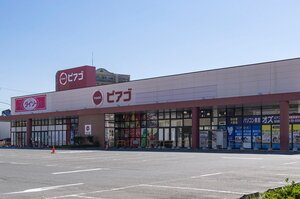 ピアゴ 豊川店