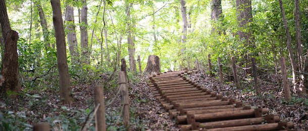 鳩峰公園