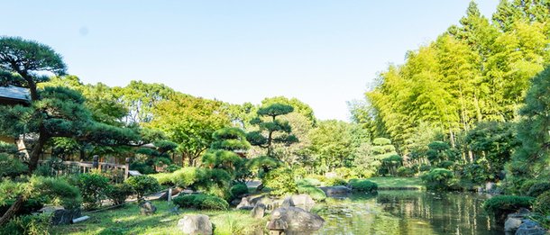 所沢航空記念公園