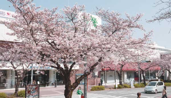 東急百貨店/たまプラーザテラス ノースプラザ