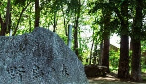 野鳥の森公園