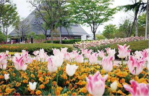 21世紀記念公園 麓山の杜