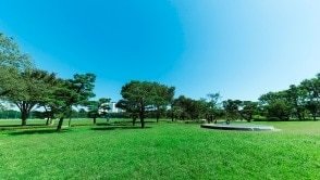 武蔵野中央公園