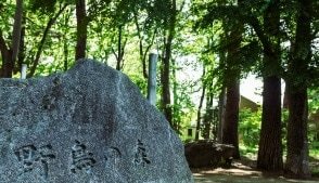 野鳥の森公園