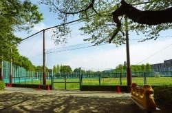 武蔵野軟式野球場