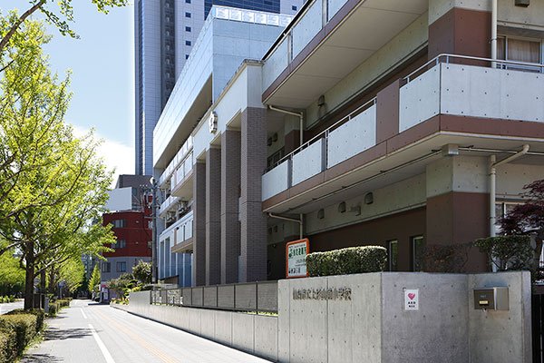 仙台市立上杉山通小学校