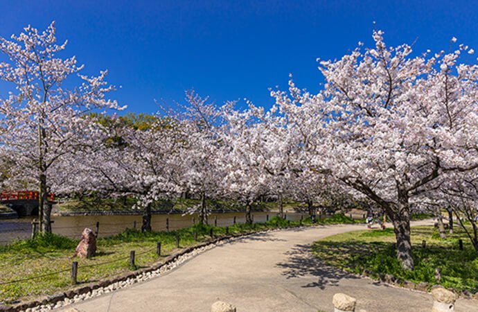 亀城公園