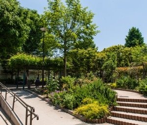桜山公園