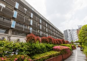 新渡戸記念中野総合病院