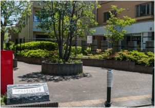 そらまめ公園