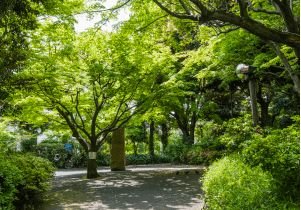 紅葉山公園