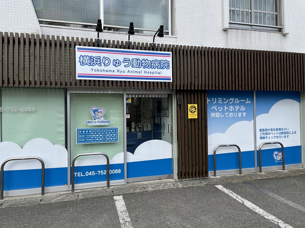 横浜りゅう動物病院