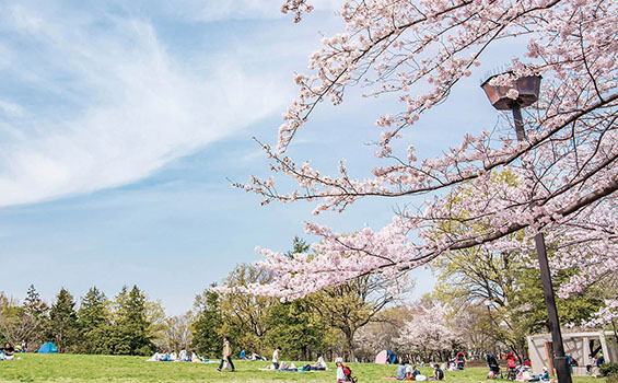 府中の森公園