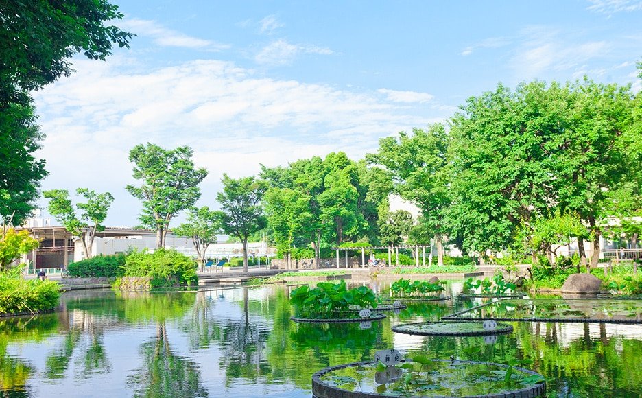 郷土の森公園