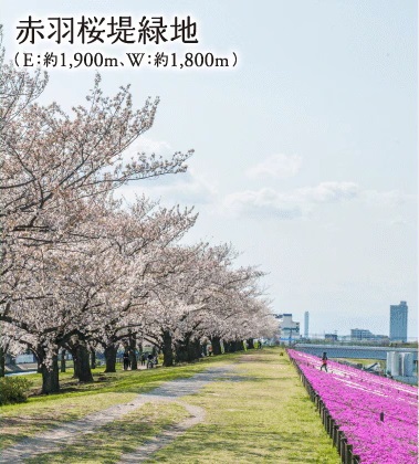 赤羽桜堤緑地