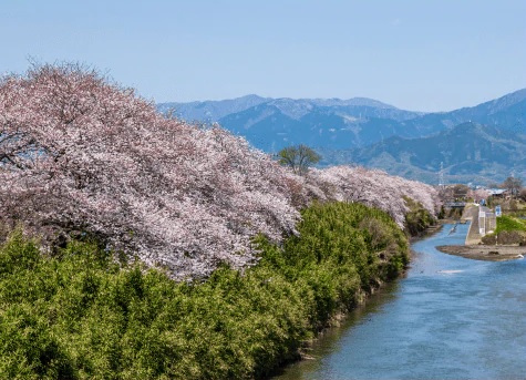 金目川