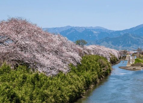 金目川