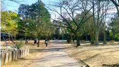 与野公園