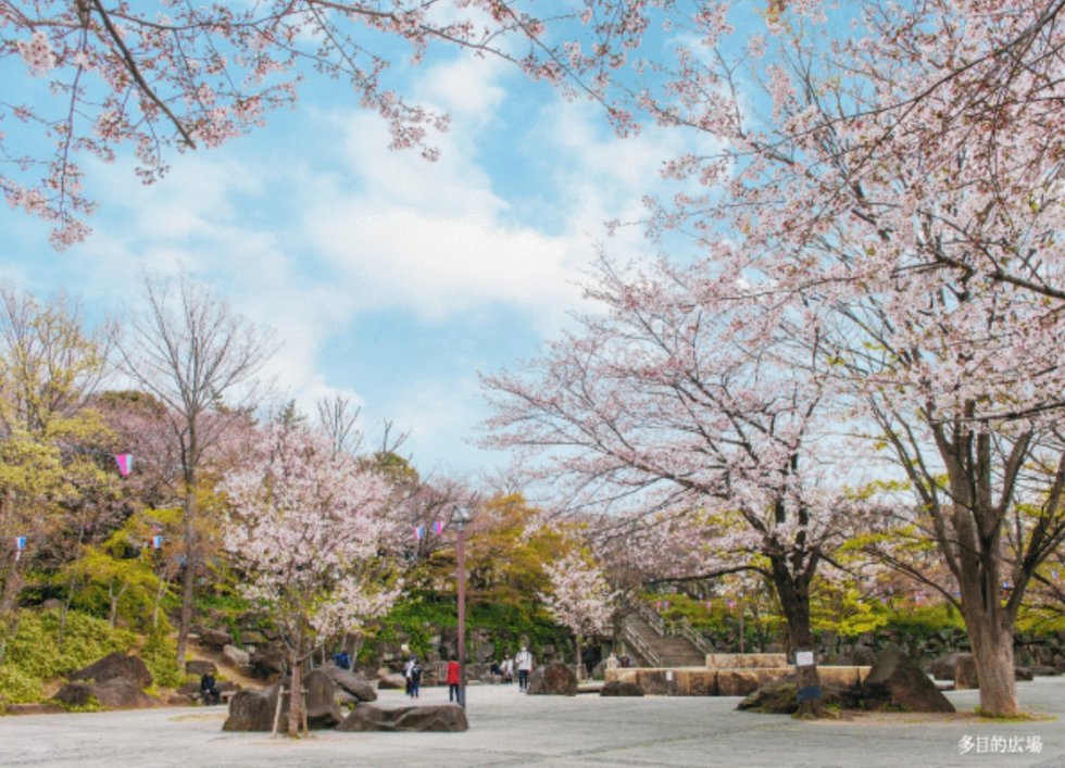飛鳥山公園