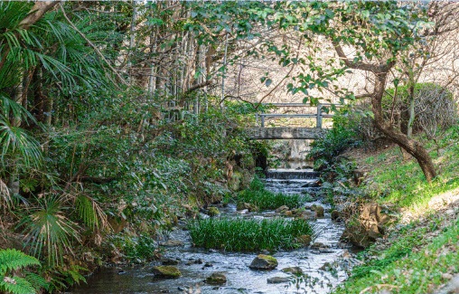 帷子川親水緑道