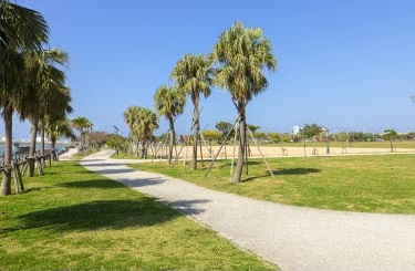 浦添ふ頭南緑地