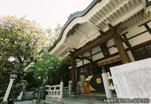 鳥越神社