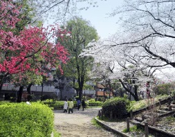 隅田公園