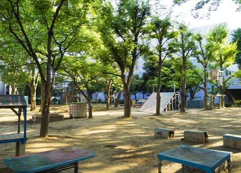 冒険松原遊び場