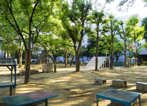冒険松原遊び場