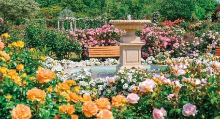 京成バラ園