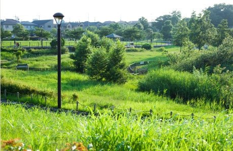 坪井近隣公園