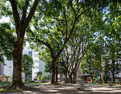 肴町公園