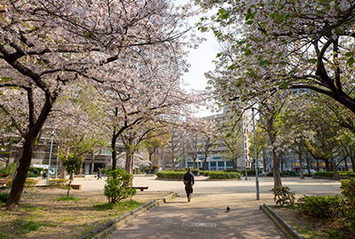 新町南公園