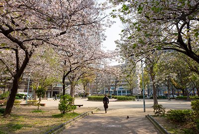 新町南公園