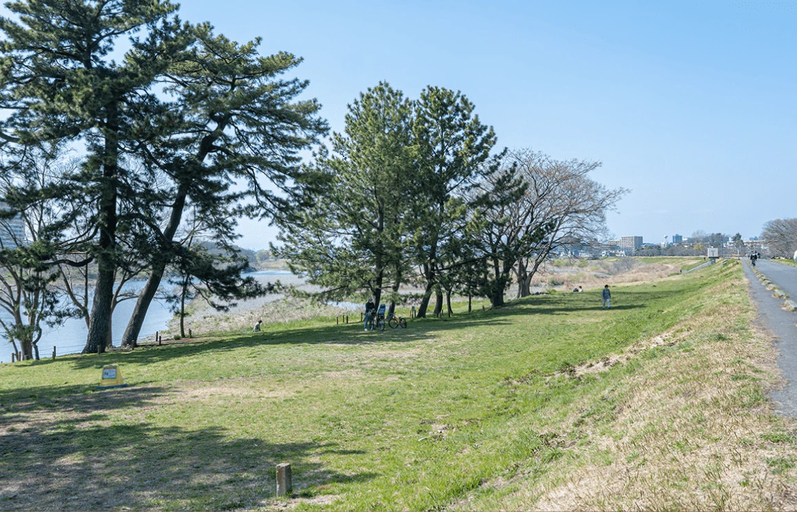 多摩川五本松公園