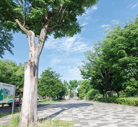 府中市郷土の森公園