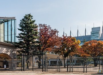 東京競馬場