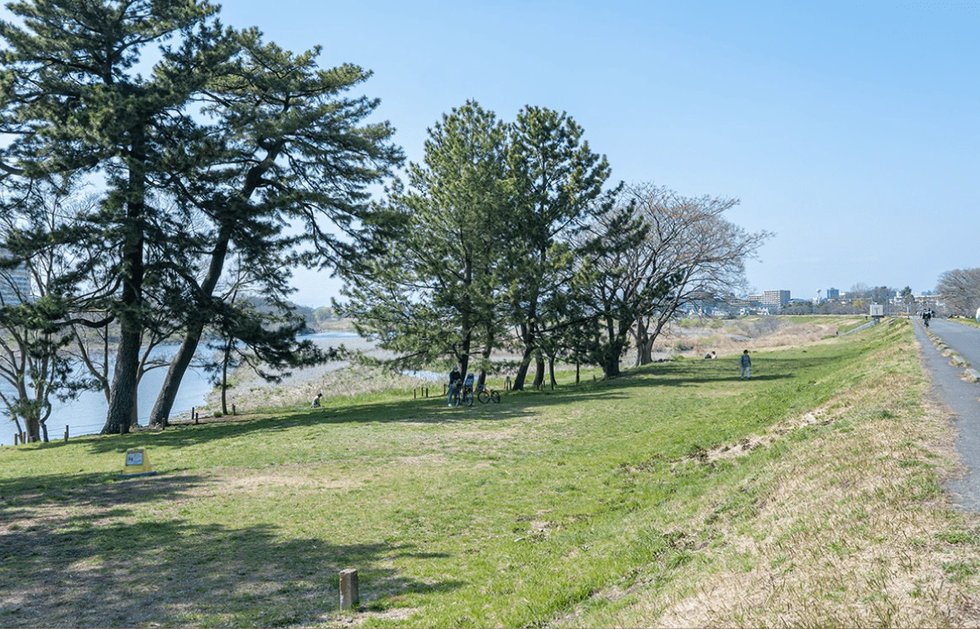 多摩川五本松公園