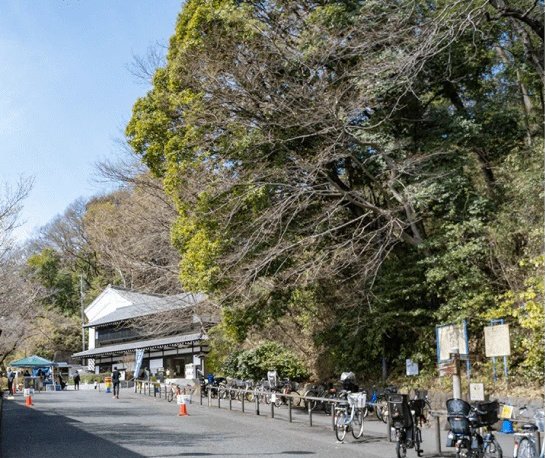 生田緑地
