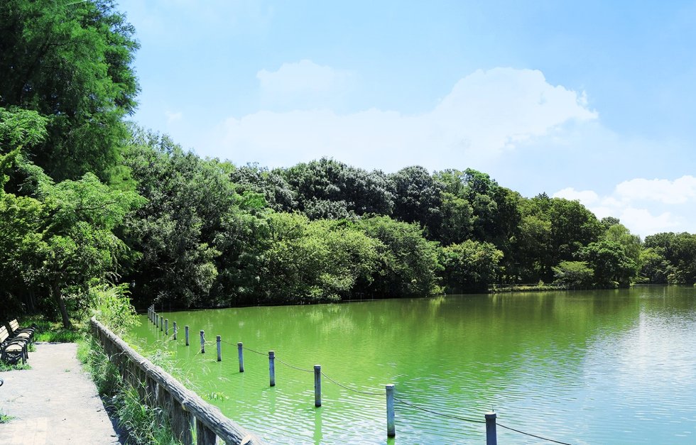 善福寺公園