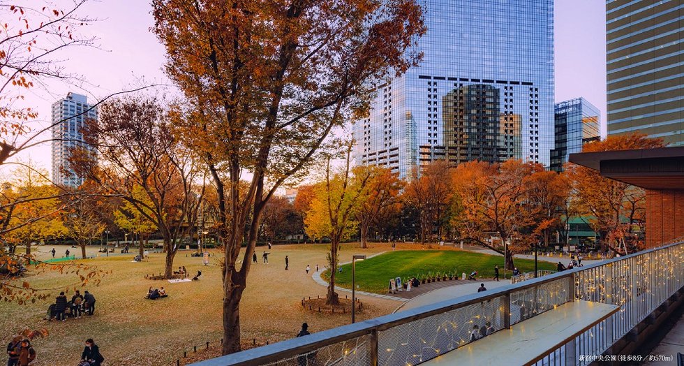 新宿中央公園