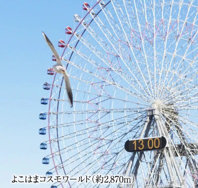 よこはまコスモワールド