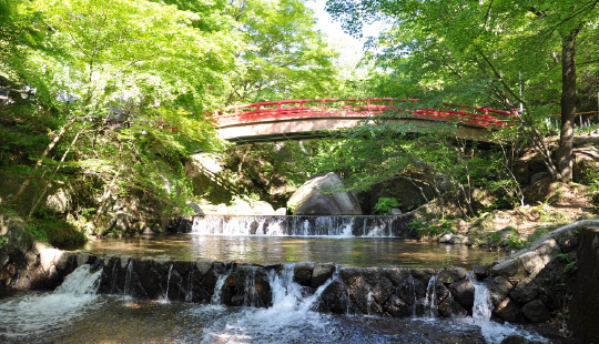 岩屋堂公園