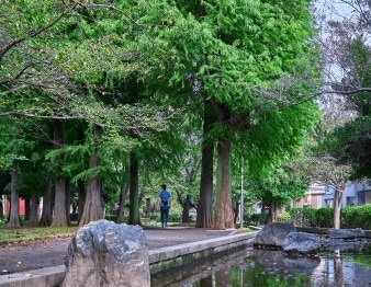 東綾瀬公園