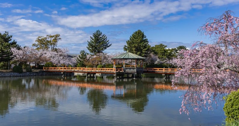 九華公園