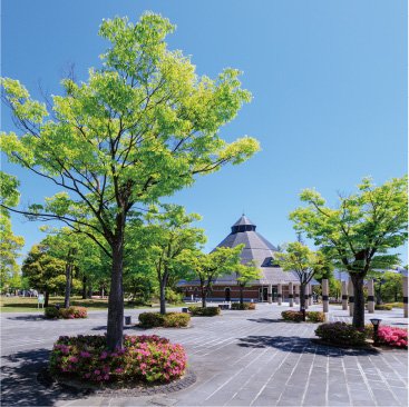 21世紀記念公園 麓山の杜