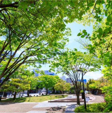 芳山公園