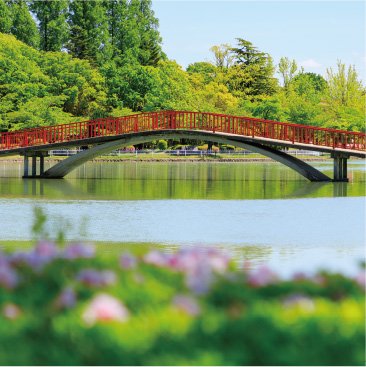 開成山公園