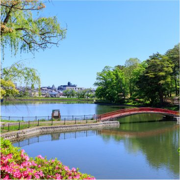 酒蓋公園