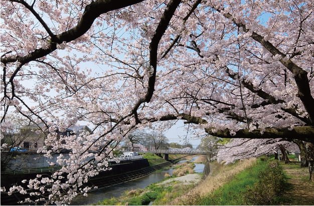 石手川緑地